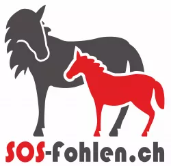 SOS-Fohlen - SOS-Poulains - SOS-Puledro - SOS-Foals 
